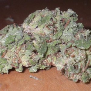 Ghost Train Haze seeds