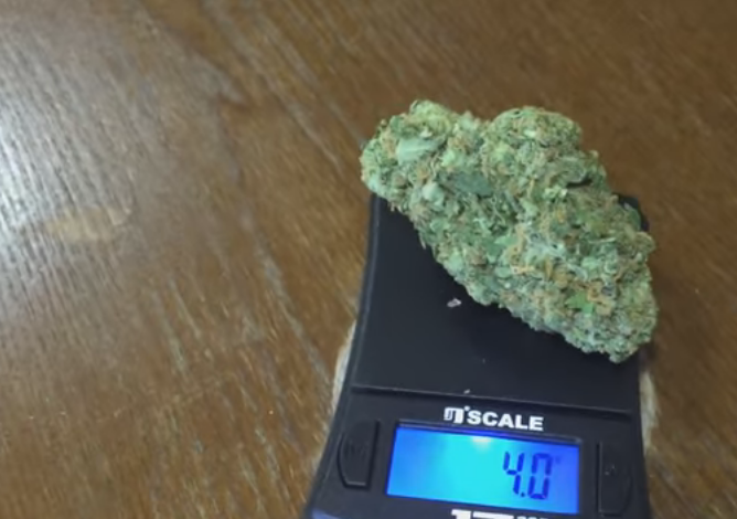 Green-Crack.png Greasy runtz strain