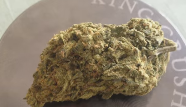 Jack-Herer.png Jack Herer Cartridges