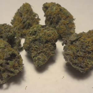 Purple blueberry kush