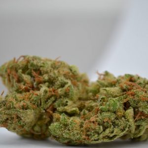 Banana Sherbet Strain