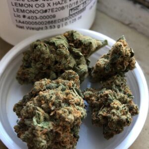 lemon og haze