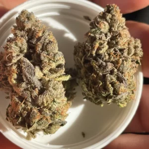 rainbow belts strain