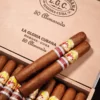 Saint luis rey