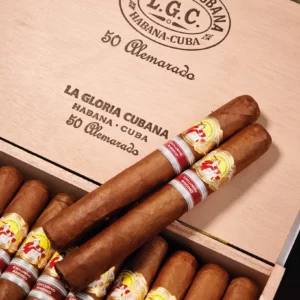 Saint luis rey