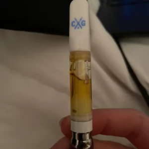 cali gold carts